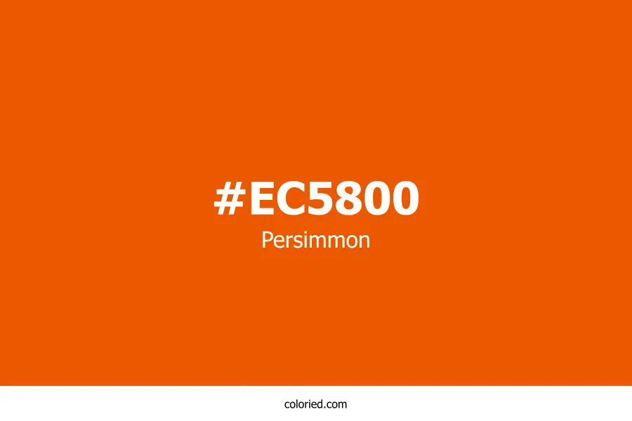 Persimmon Color Hex Code