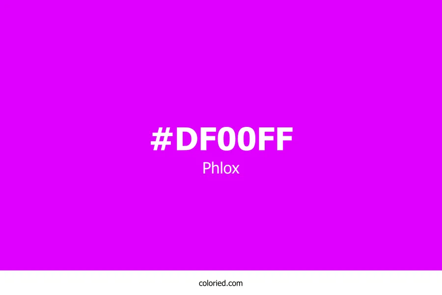 Phlox Color