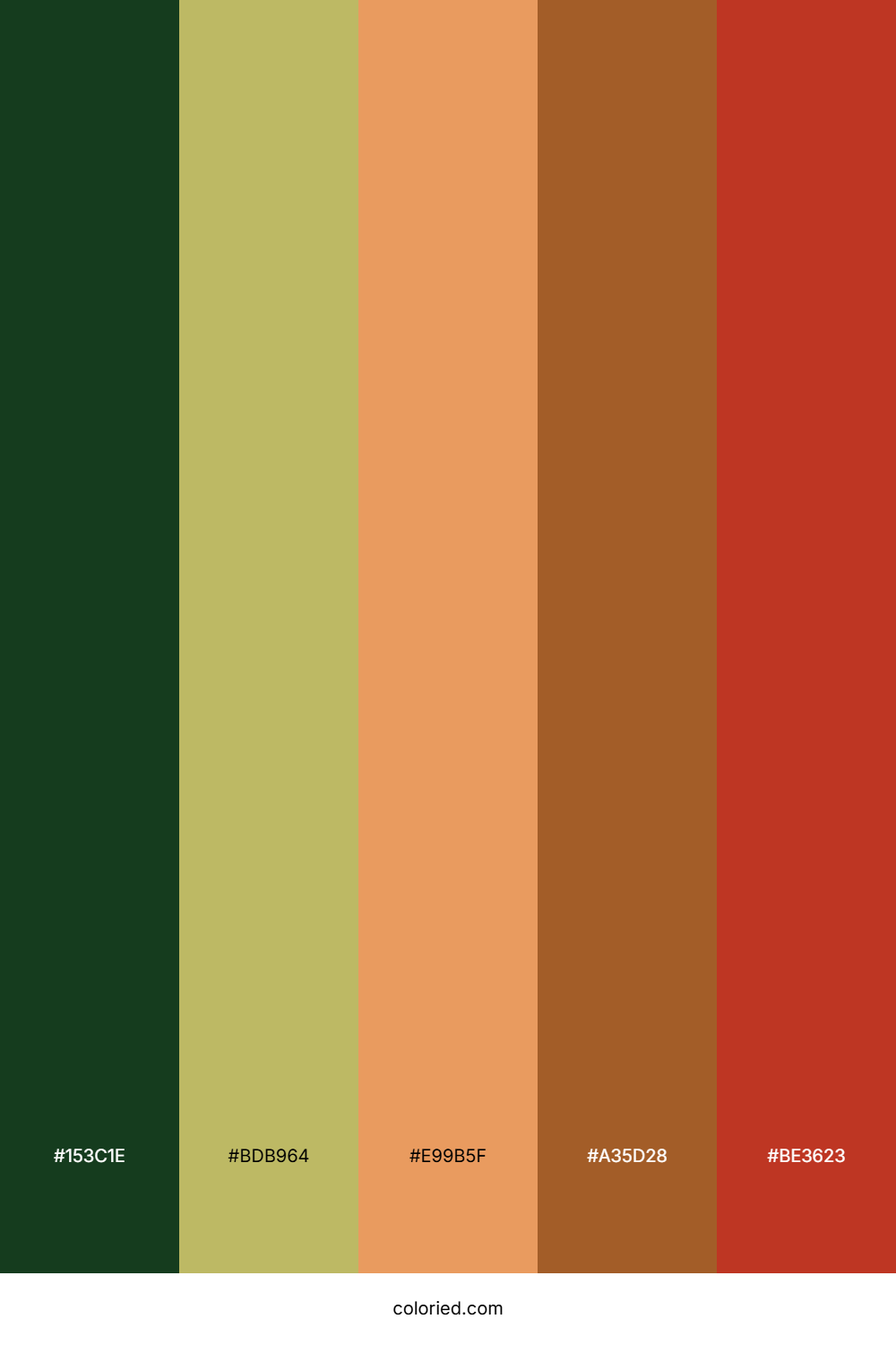 Pine Amber Rust Palette