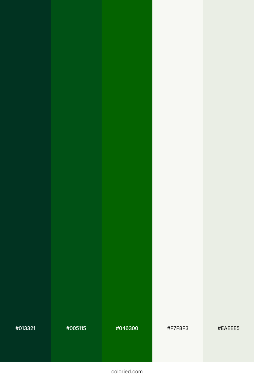 Pine And Ivory Color Palette