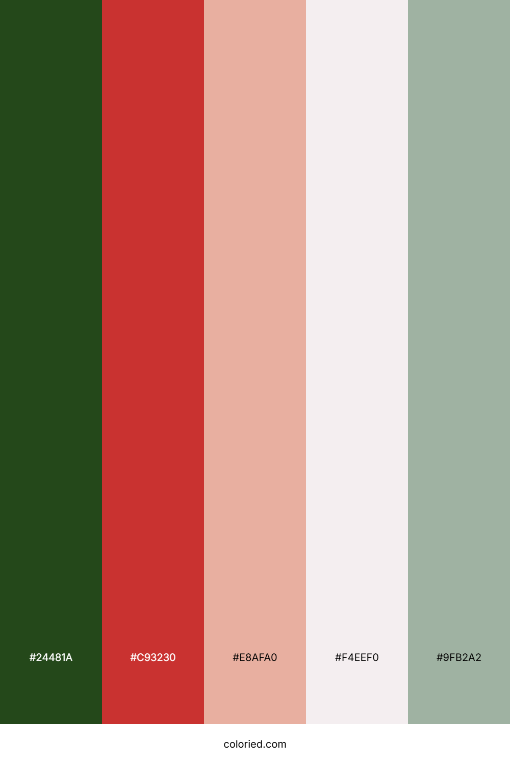 Pine Cherry Petal Palette