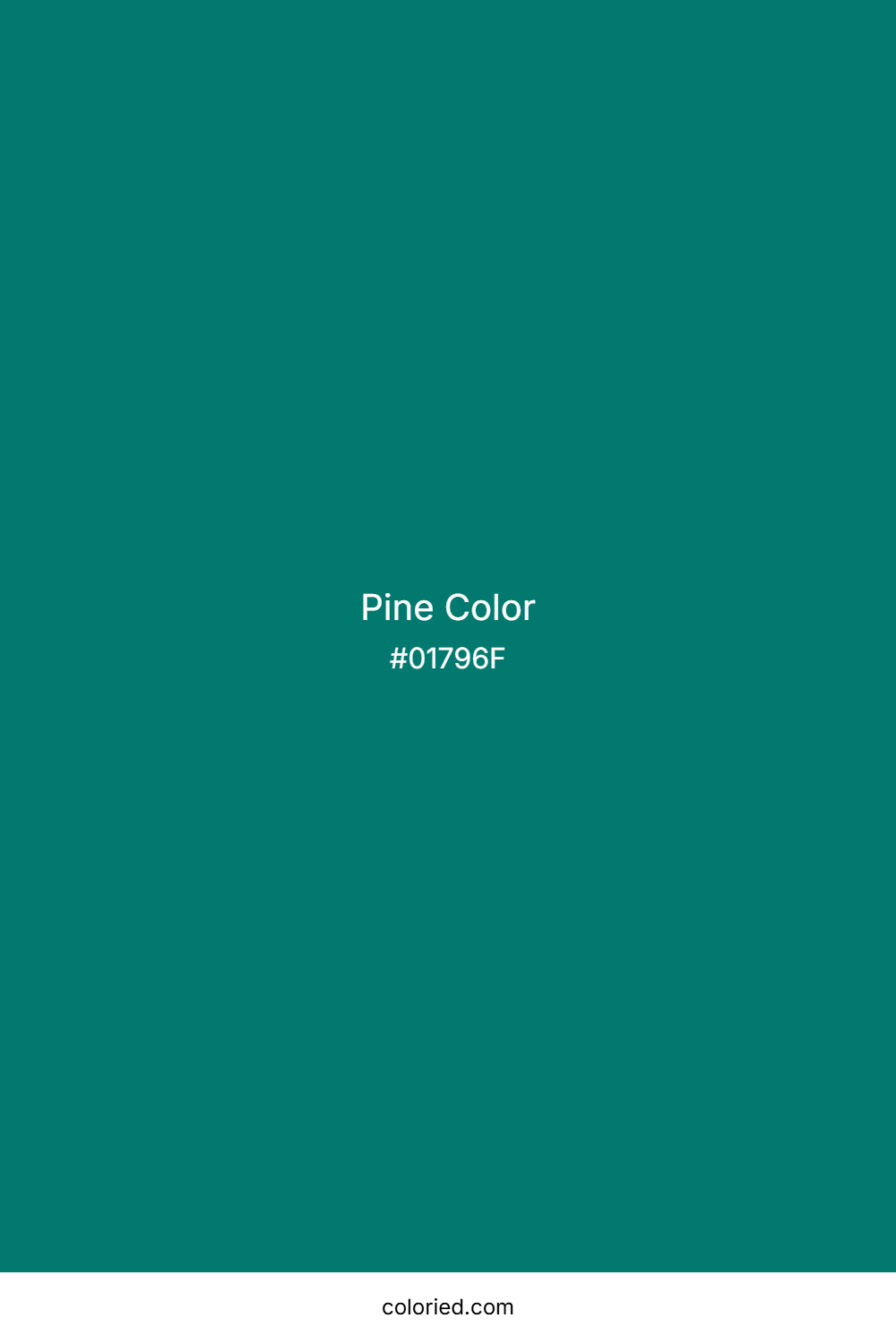 Pine Color