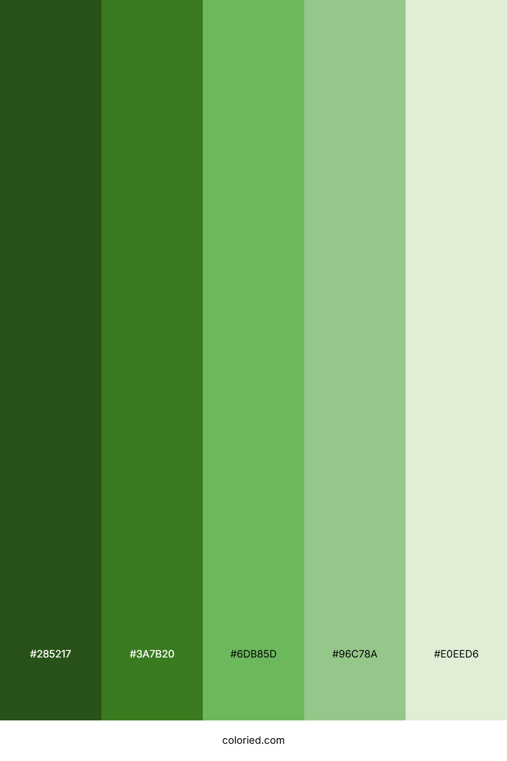 Pine Green and Mint Color Palette