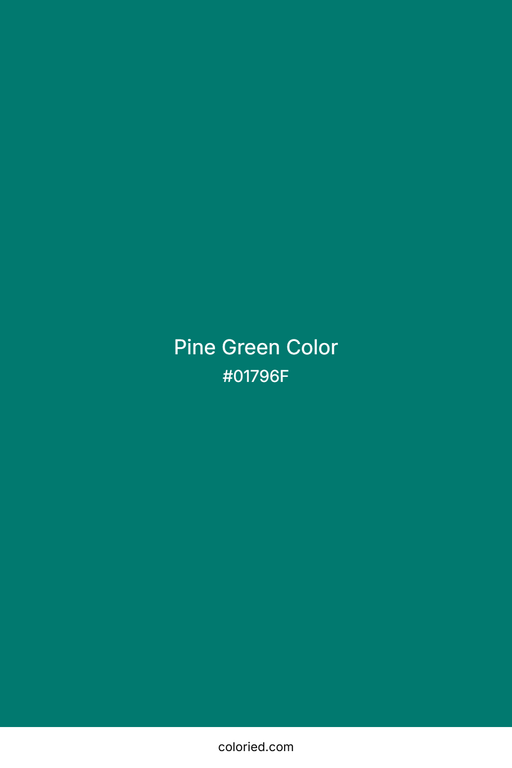 Pine Green Color