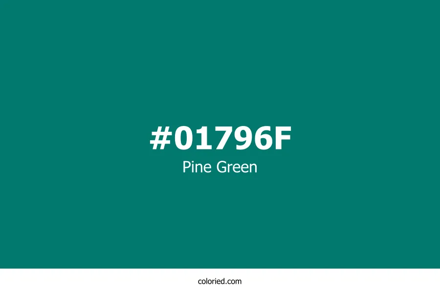 Pine Green Color Hex Code
