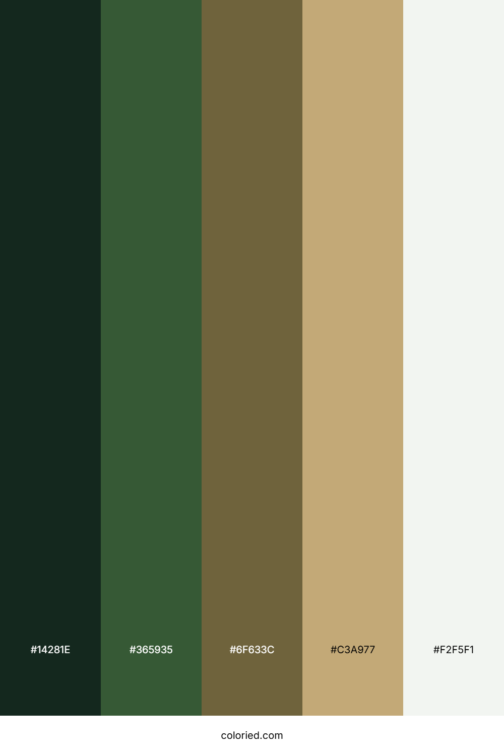 Pinewood Meadow Trail Color Palette