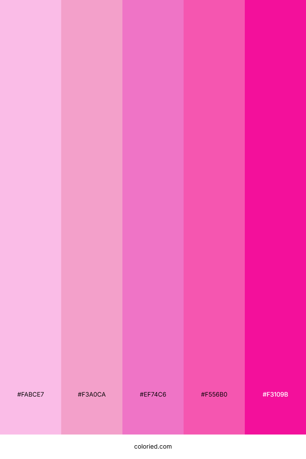 Pink and Fuchsia Color Palette