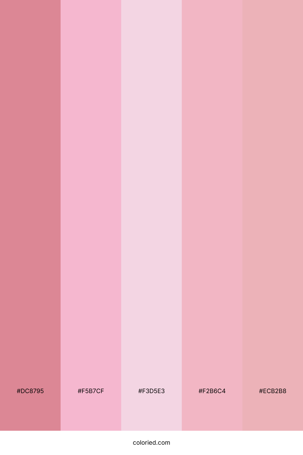 Pink and Light Pink Color Palette