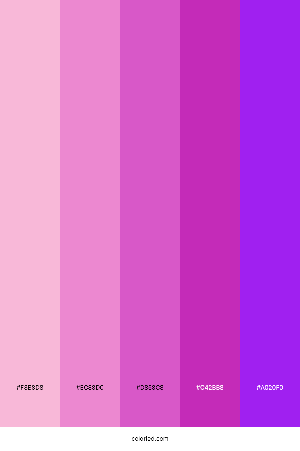 Pink and Purple Color Palette