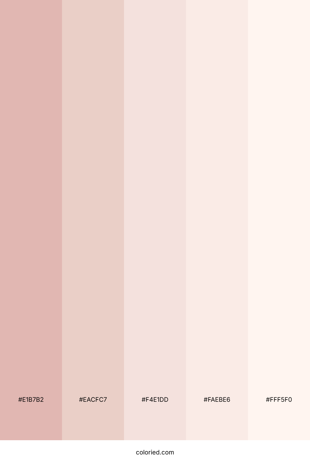 Pink Champagne Set Color Palette