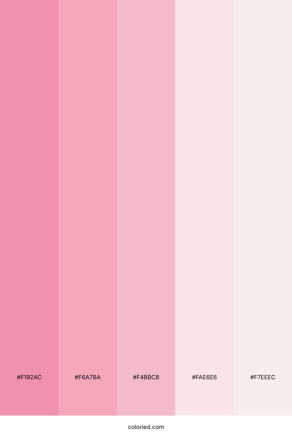 Pink Cloud Delight Palette