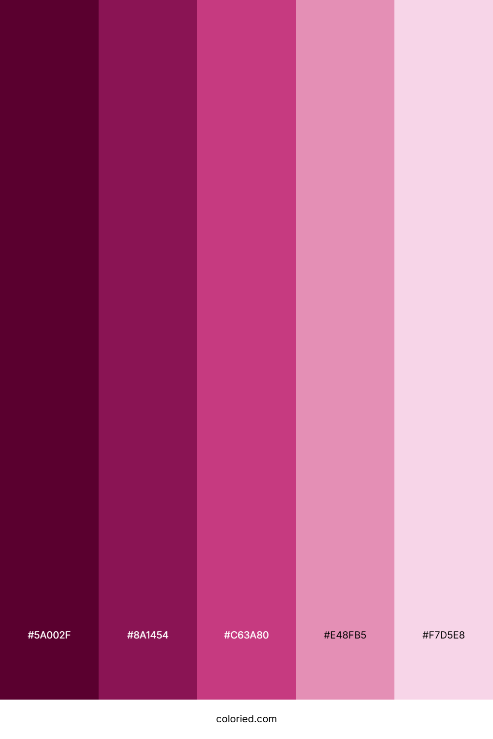 Pink Feminine Color Palette