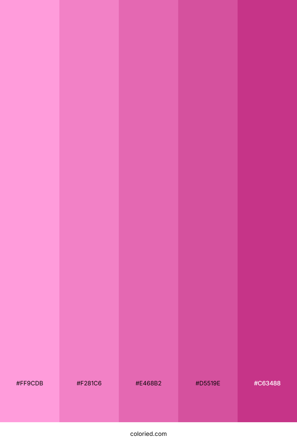 Pink Orchid Bloom Color Palette