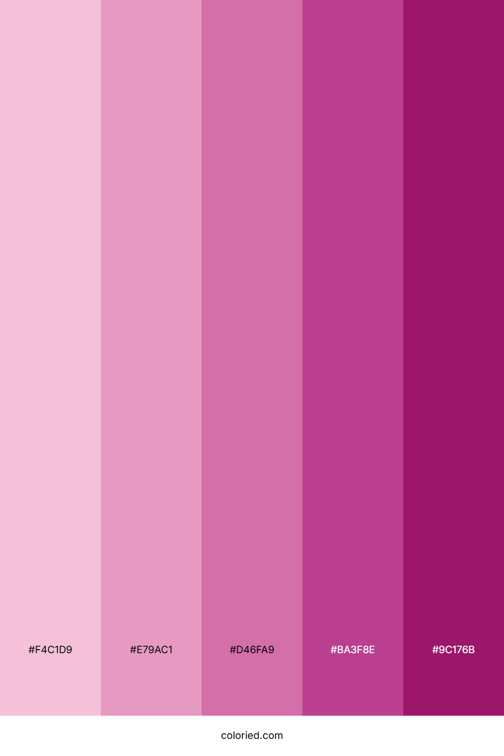 Pink Orchid Color Palette