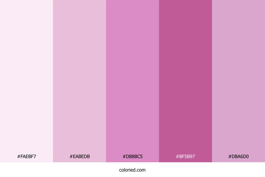 Pink Orchid Garden Color Palette