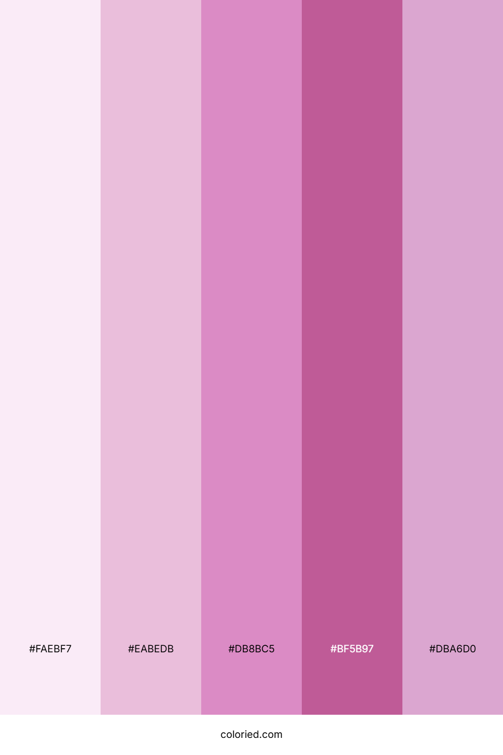 Pink Orchid Garden Palette