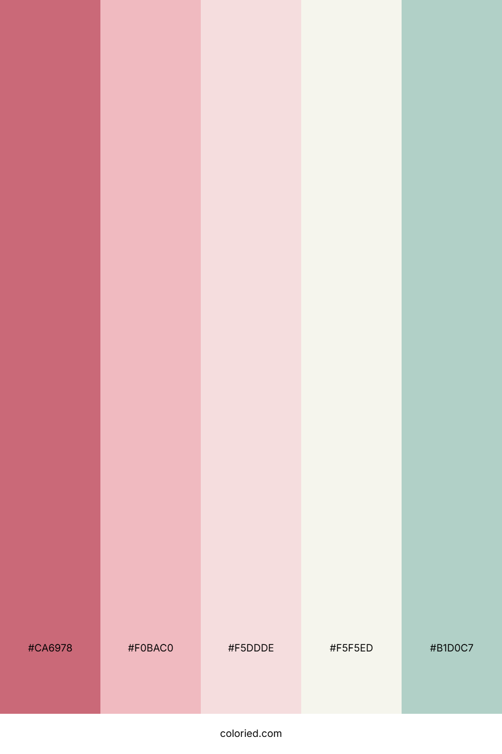 Pink Peach Mist Color Palette
