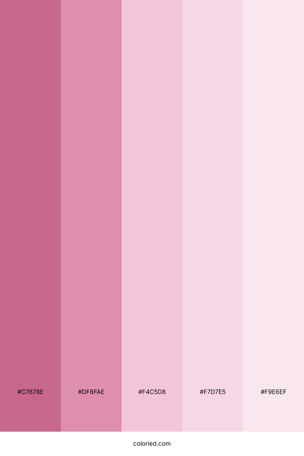 Pink Peony Color Palette