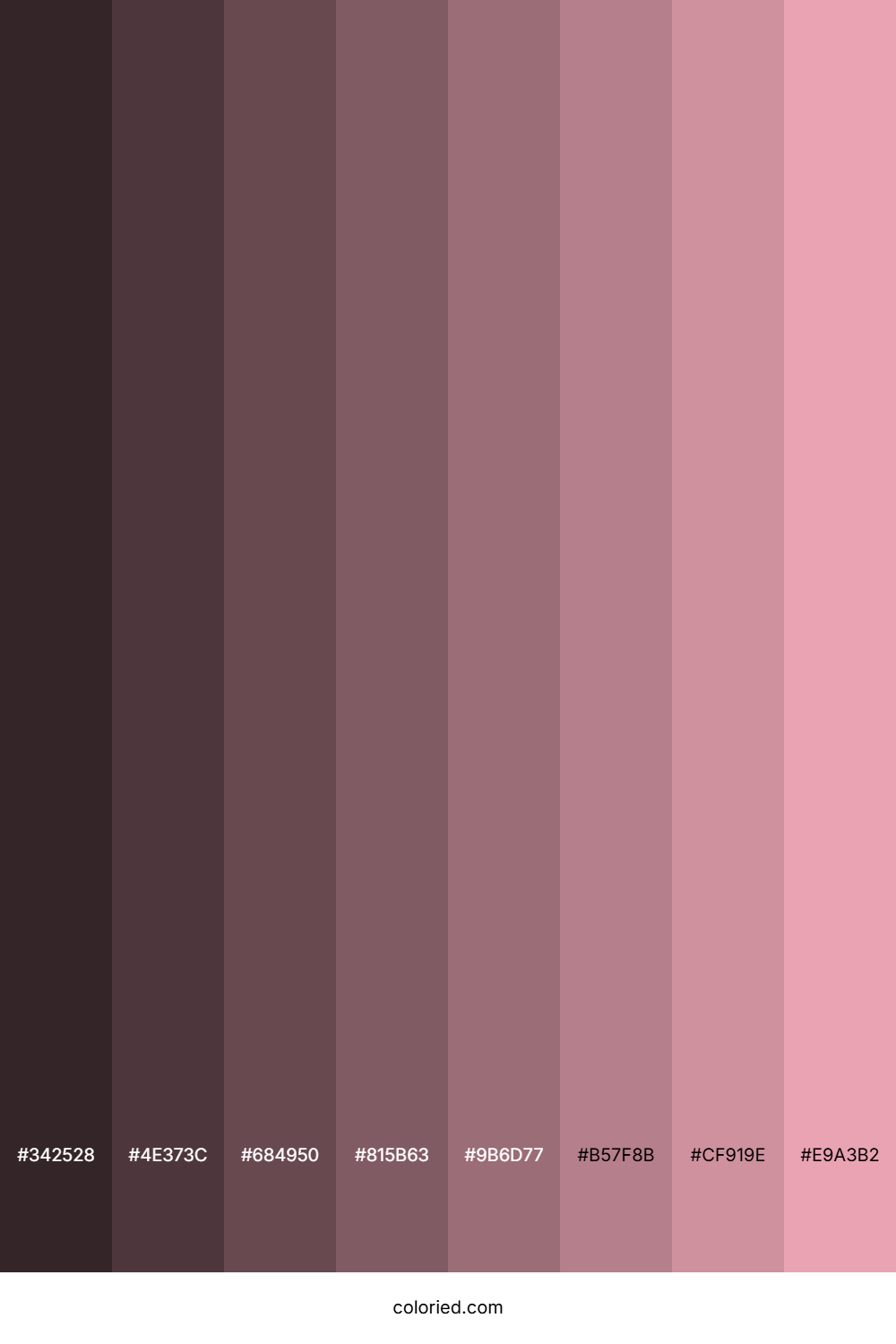 Pink Rose Color Shades