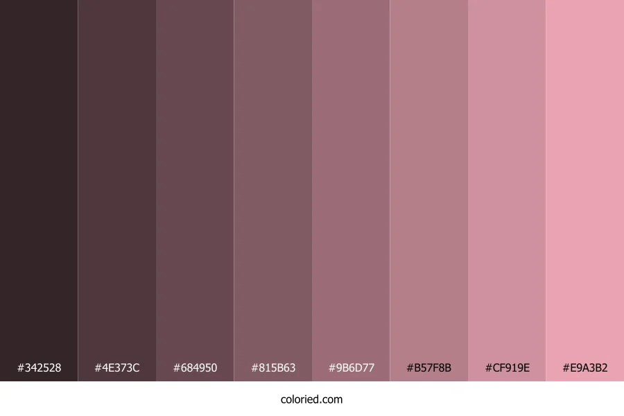 Pink Rose Color Shades