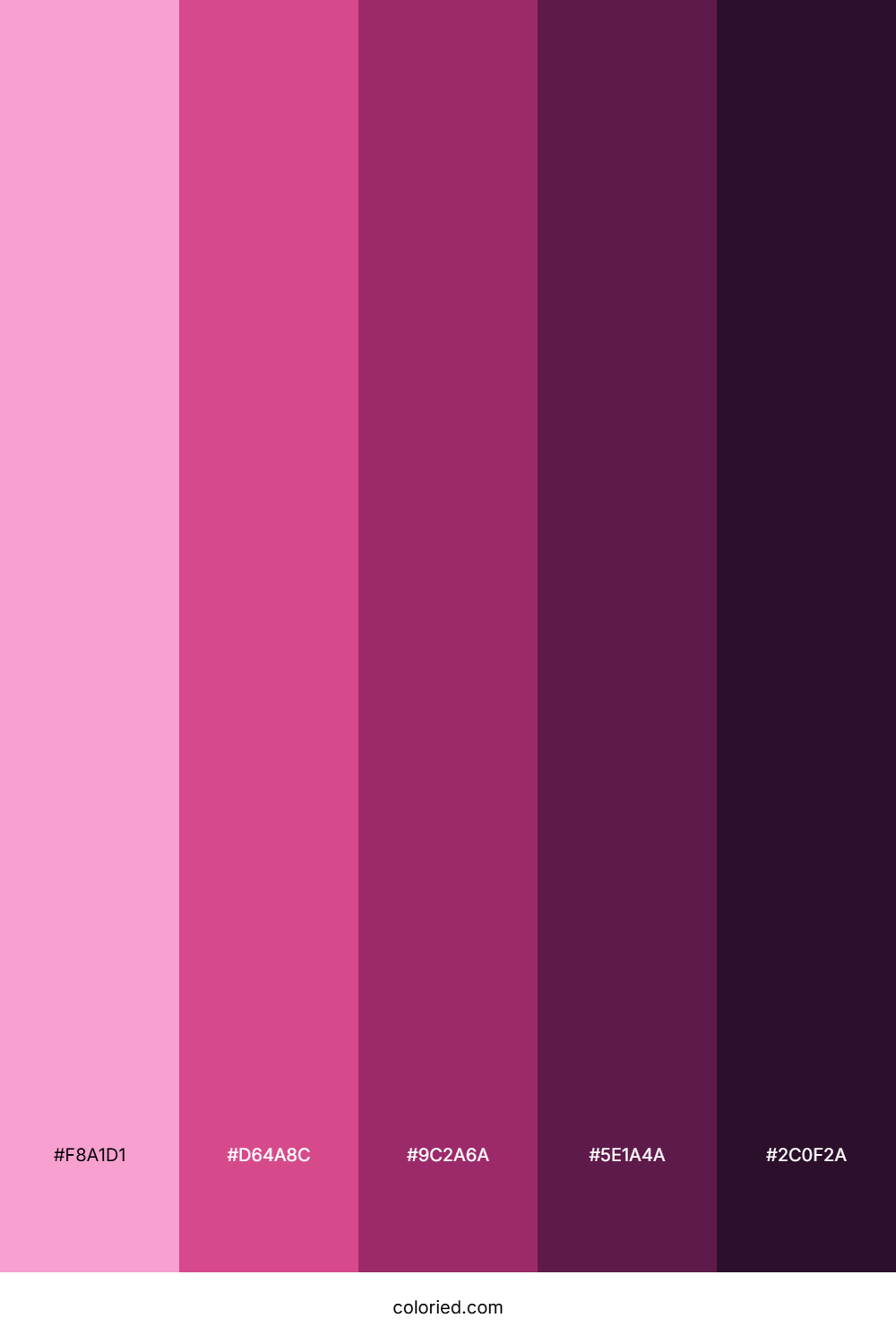 Pink to Black Gradient Color Palette