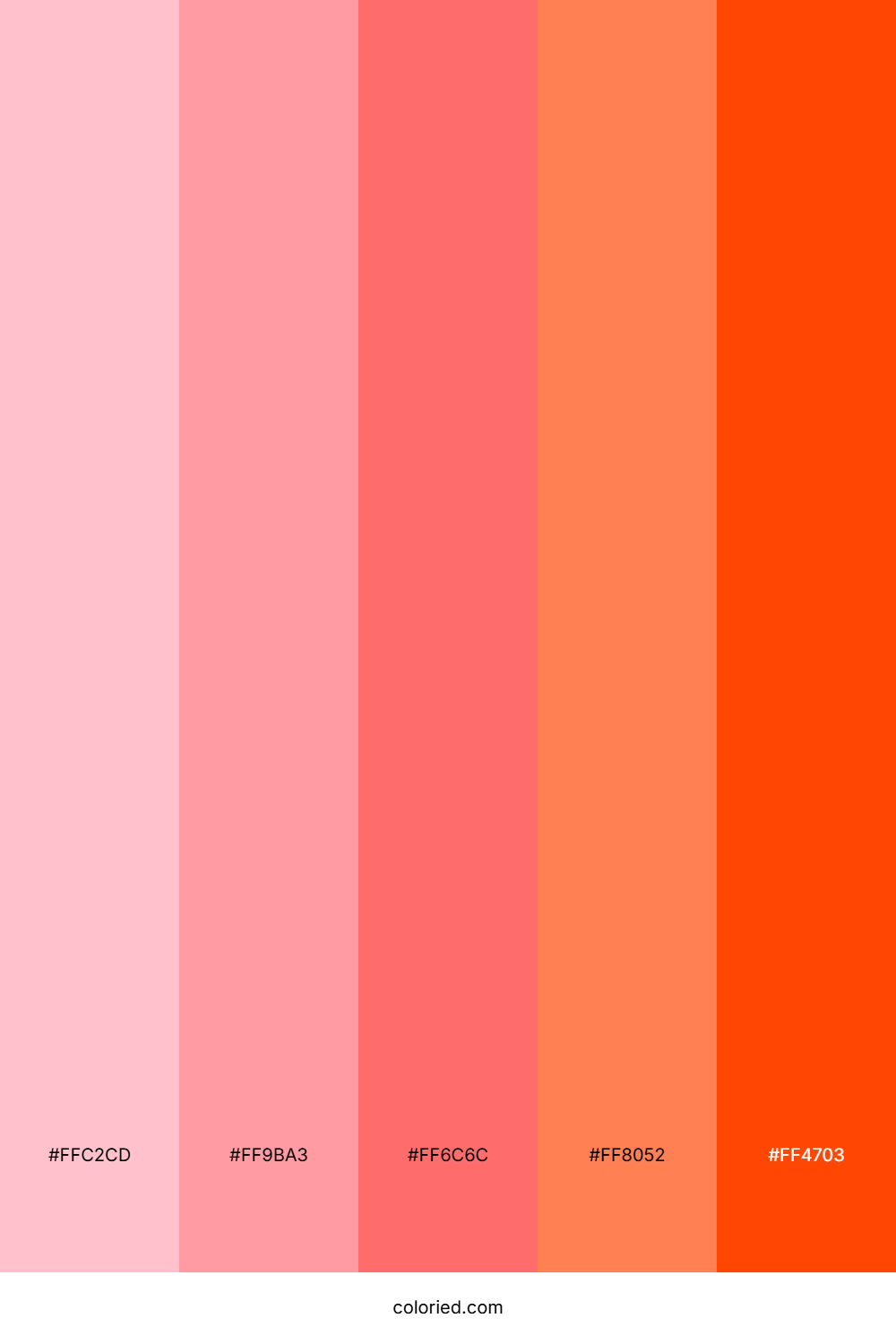 Pink to Orange Gradient Color Palette