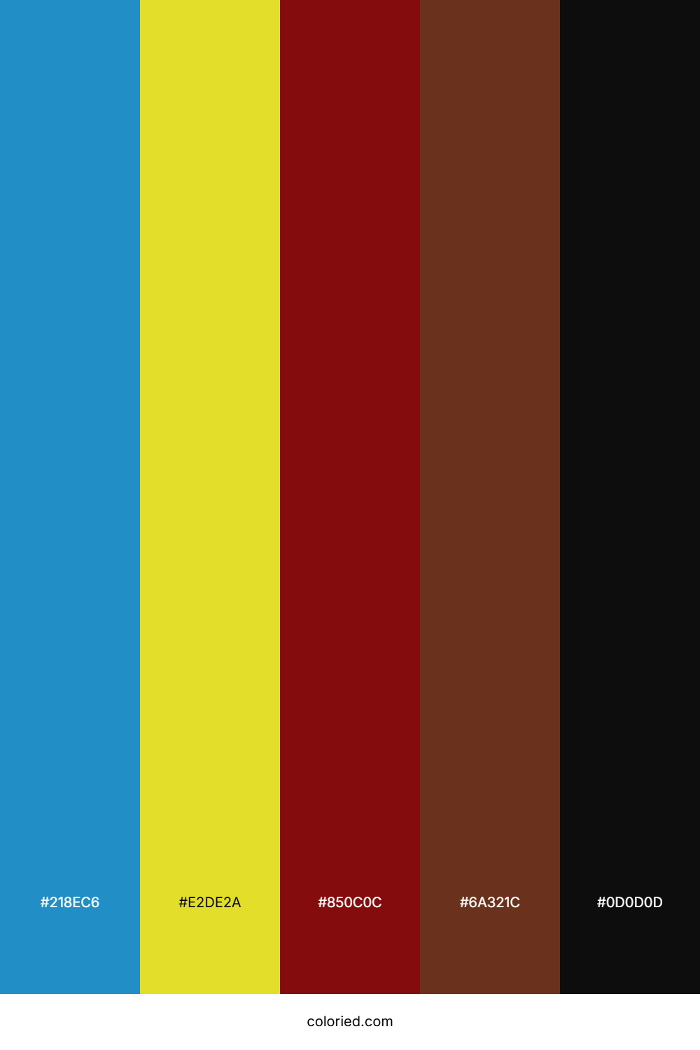 Pirate Theme Color Palette