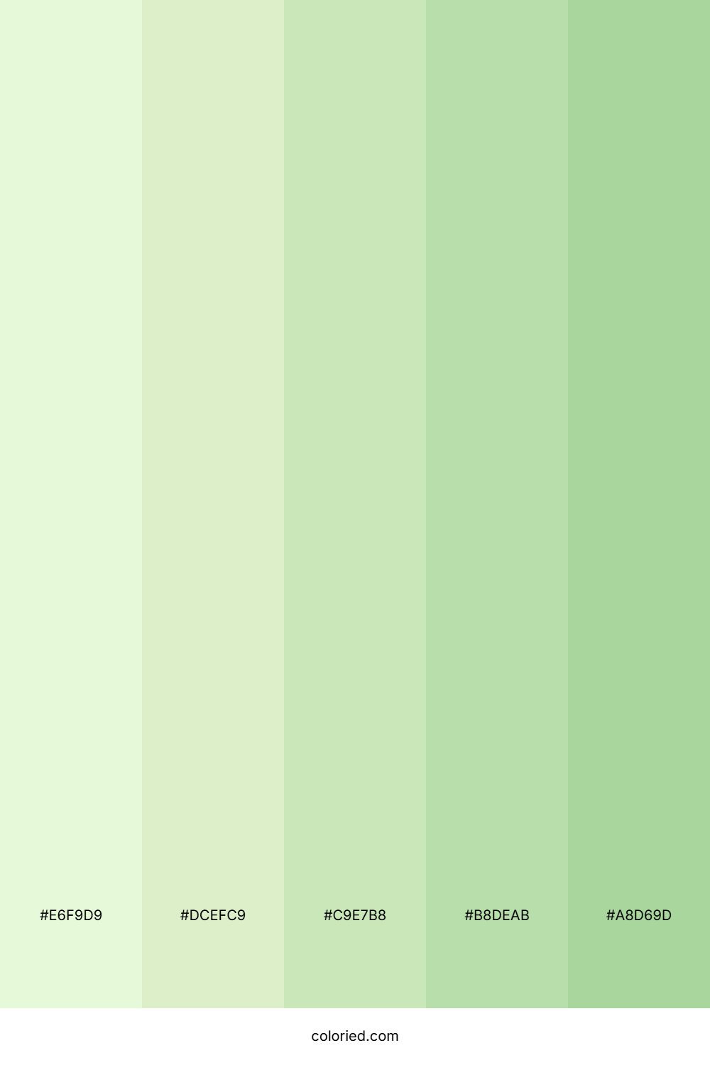 Pistachio And Sage Color Palette