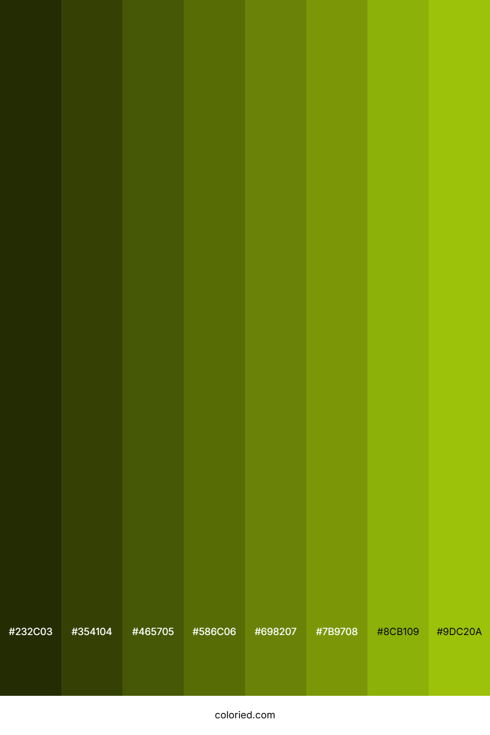 Pistachio Green Color Shades