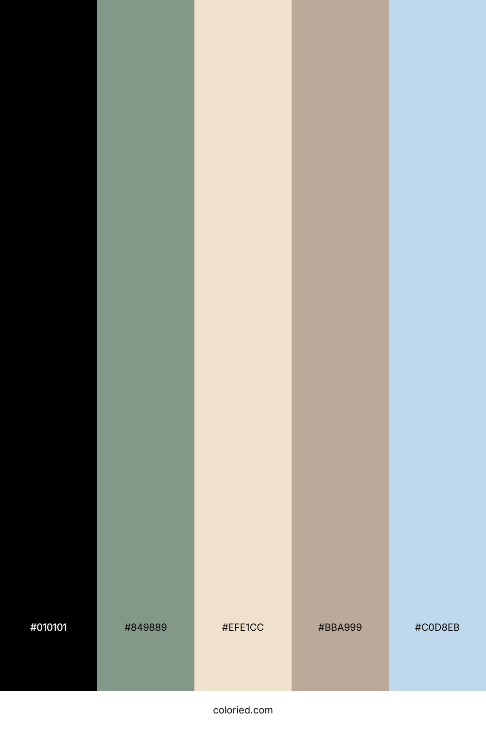 Pitch Cloud Shade Color Palette