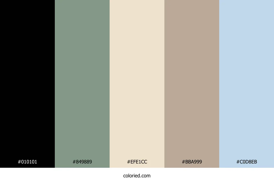 Pitch Cloud Shade Color Palette