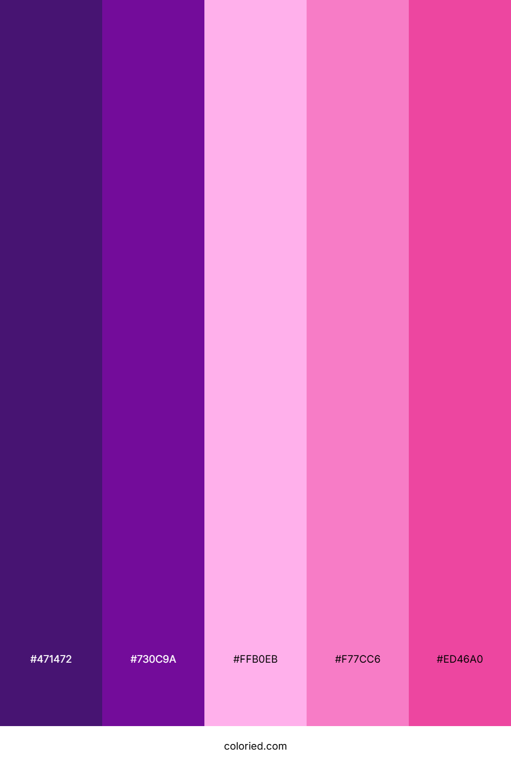 Plum And Hot Pink Color Palette