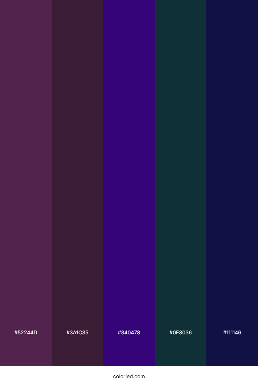 Plum and Midnight Color Palette