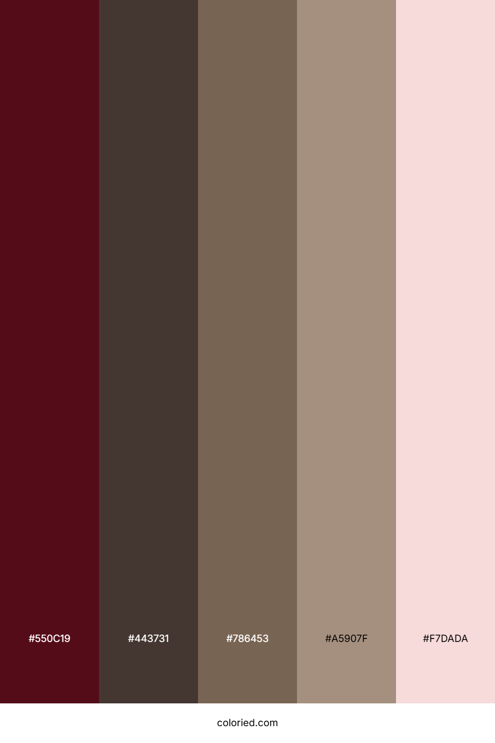 Plum Cocoa Mist Color Palette