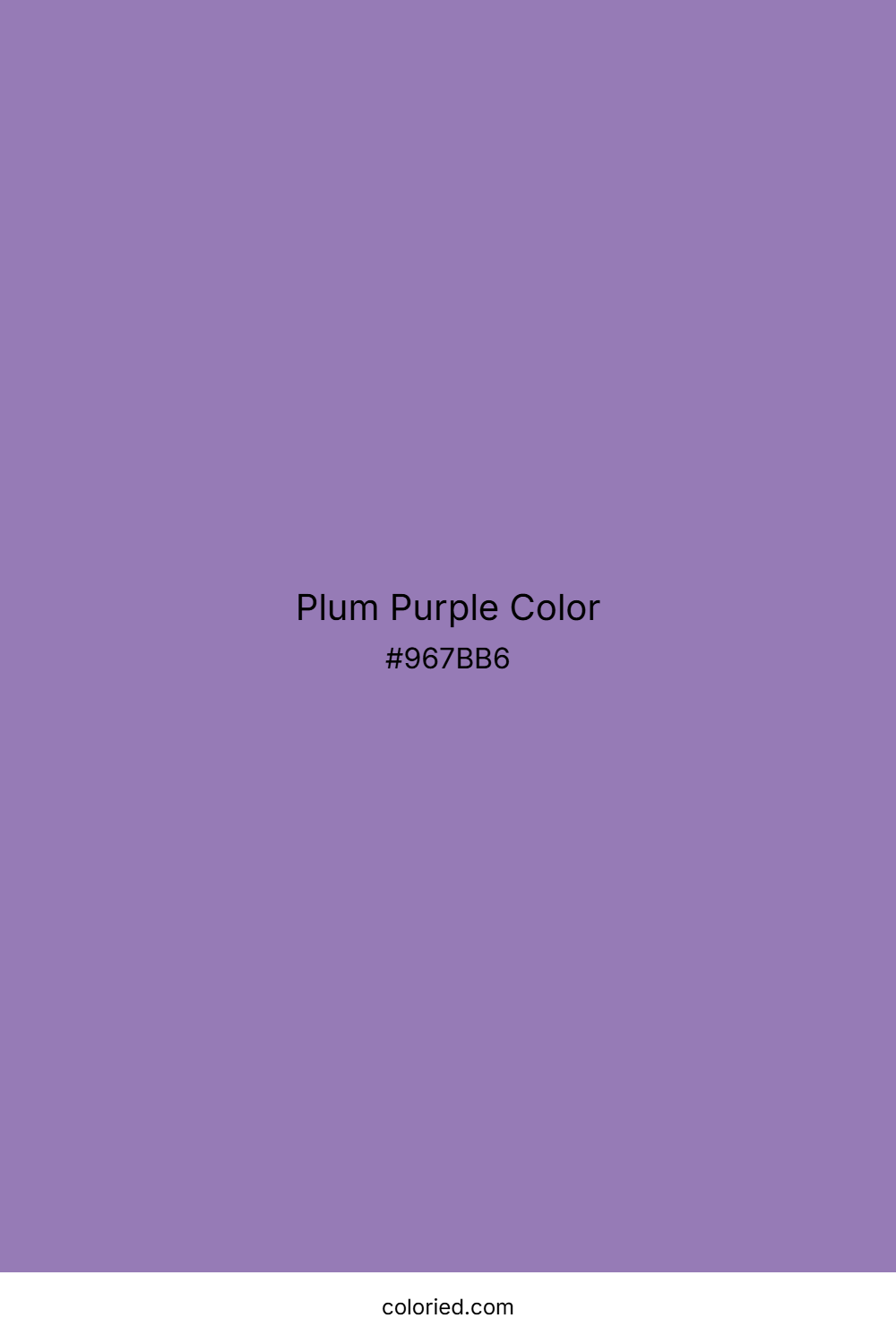Plum Purple Color