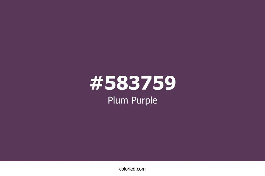 Plum Purple Color