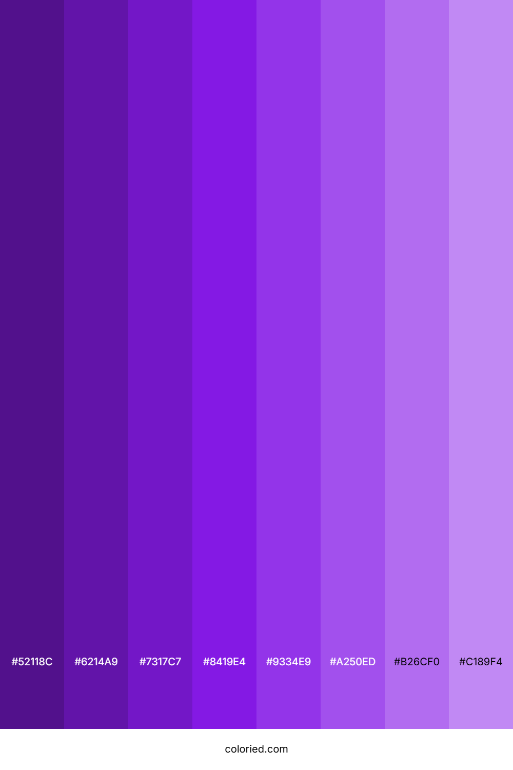 Plum Shades