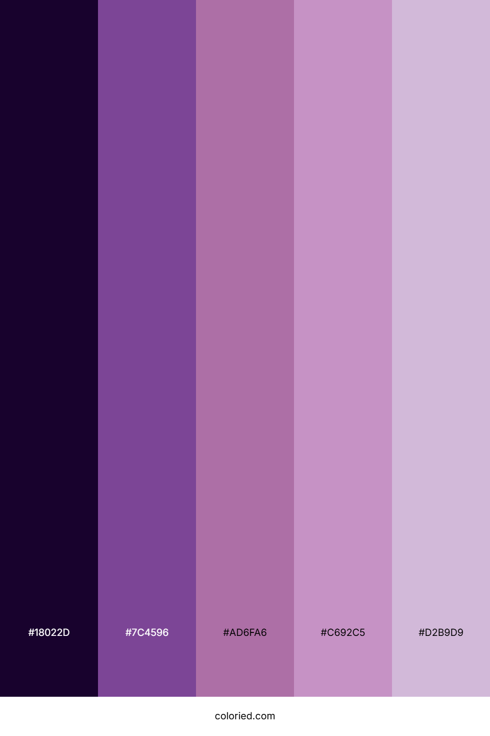 Plum Velvet Whisper Palette