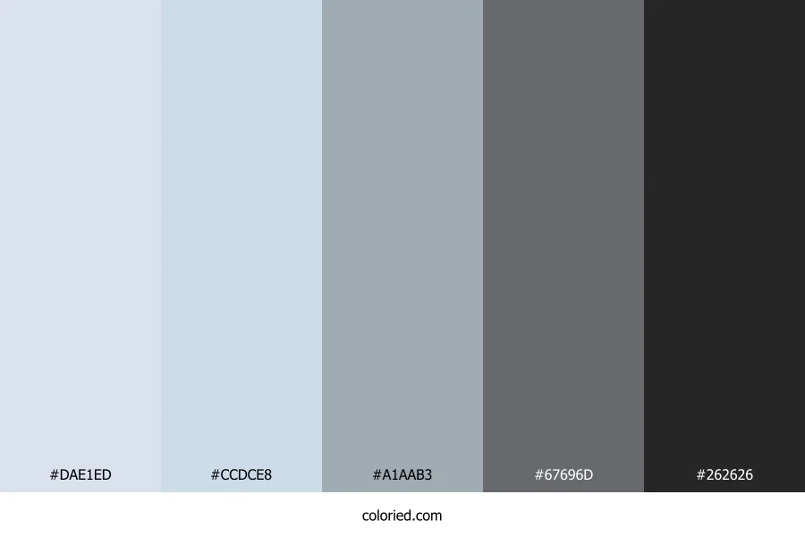 Powder Blue and Graphite Color Palette