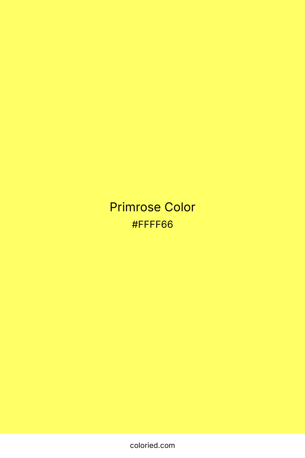 Primrose Color