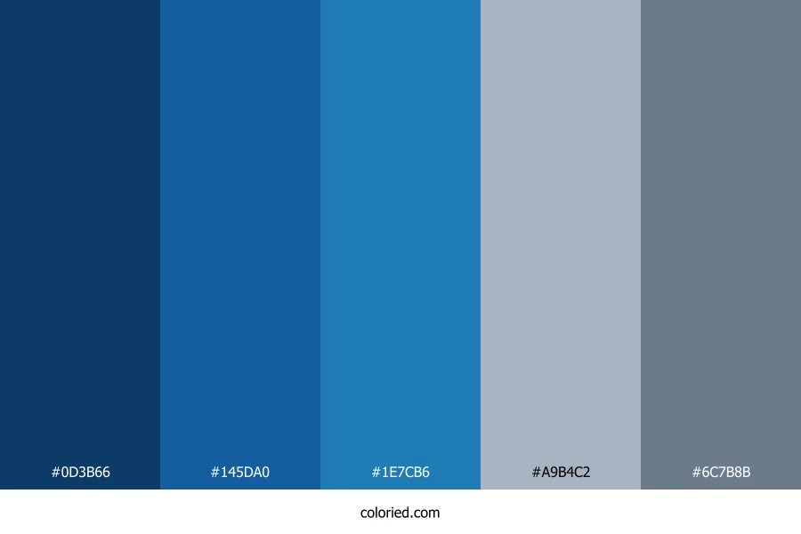 Professional Blue and Grey Color Palette