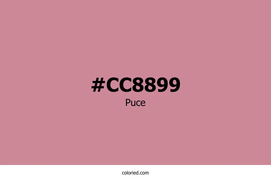 Puce Color Hex Code