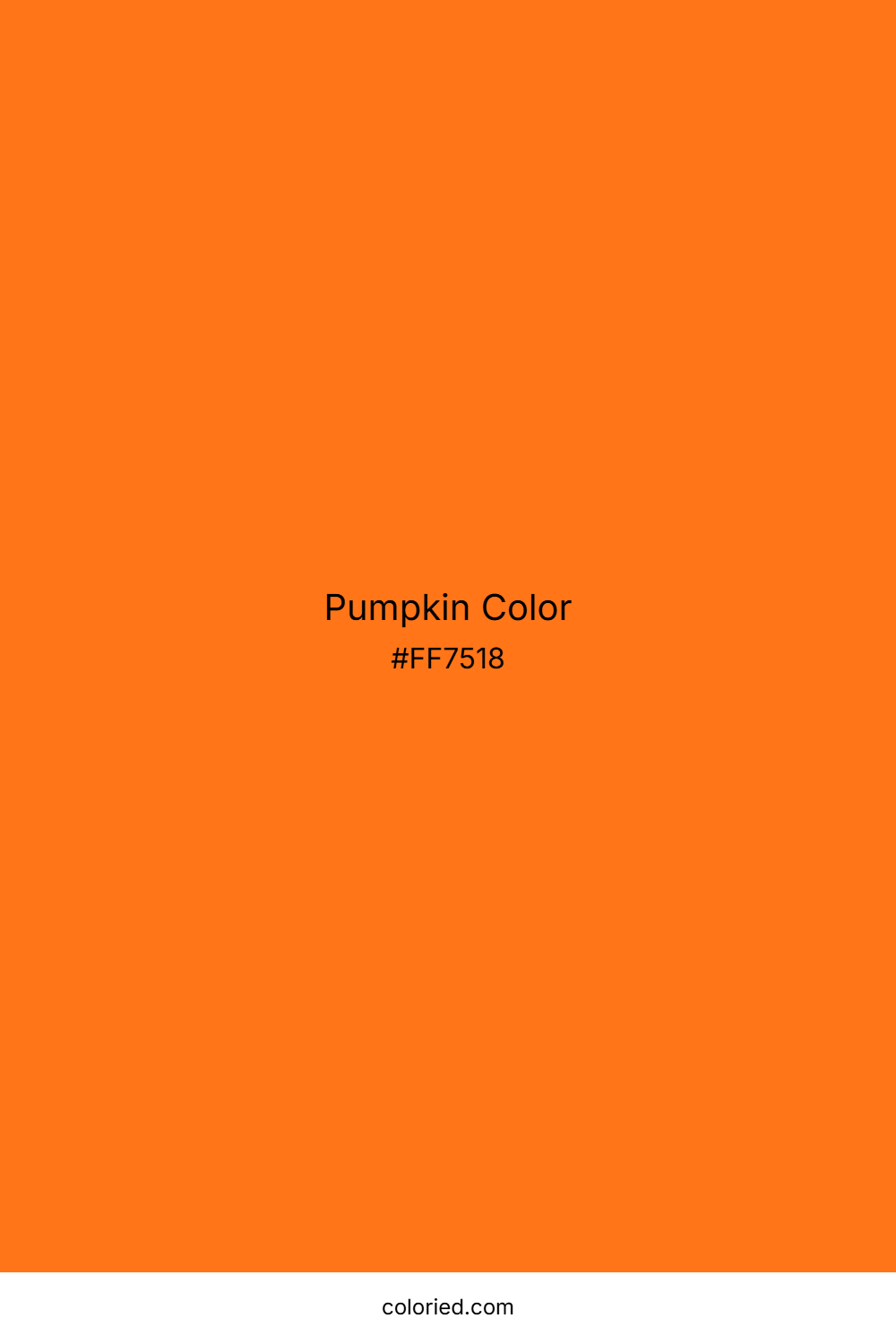 Pumpkin Color