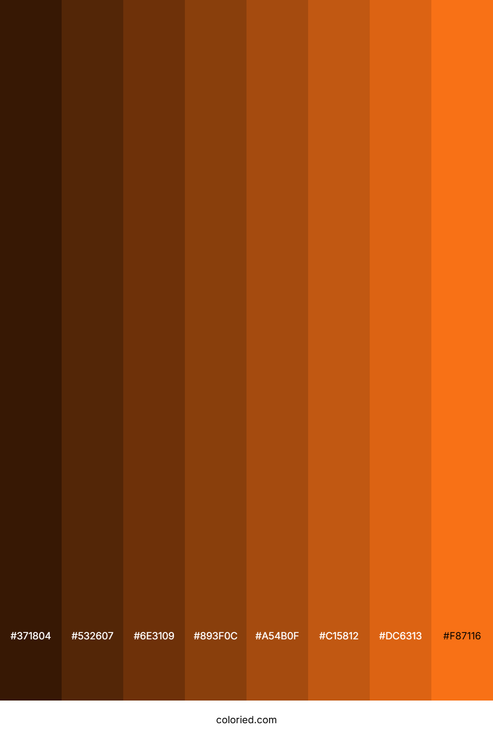 Pumpkin Orange Color Shades