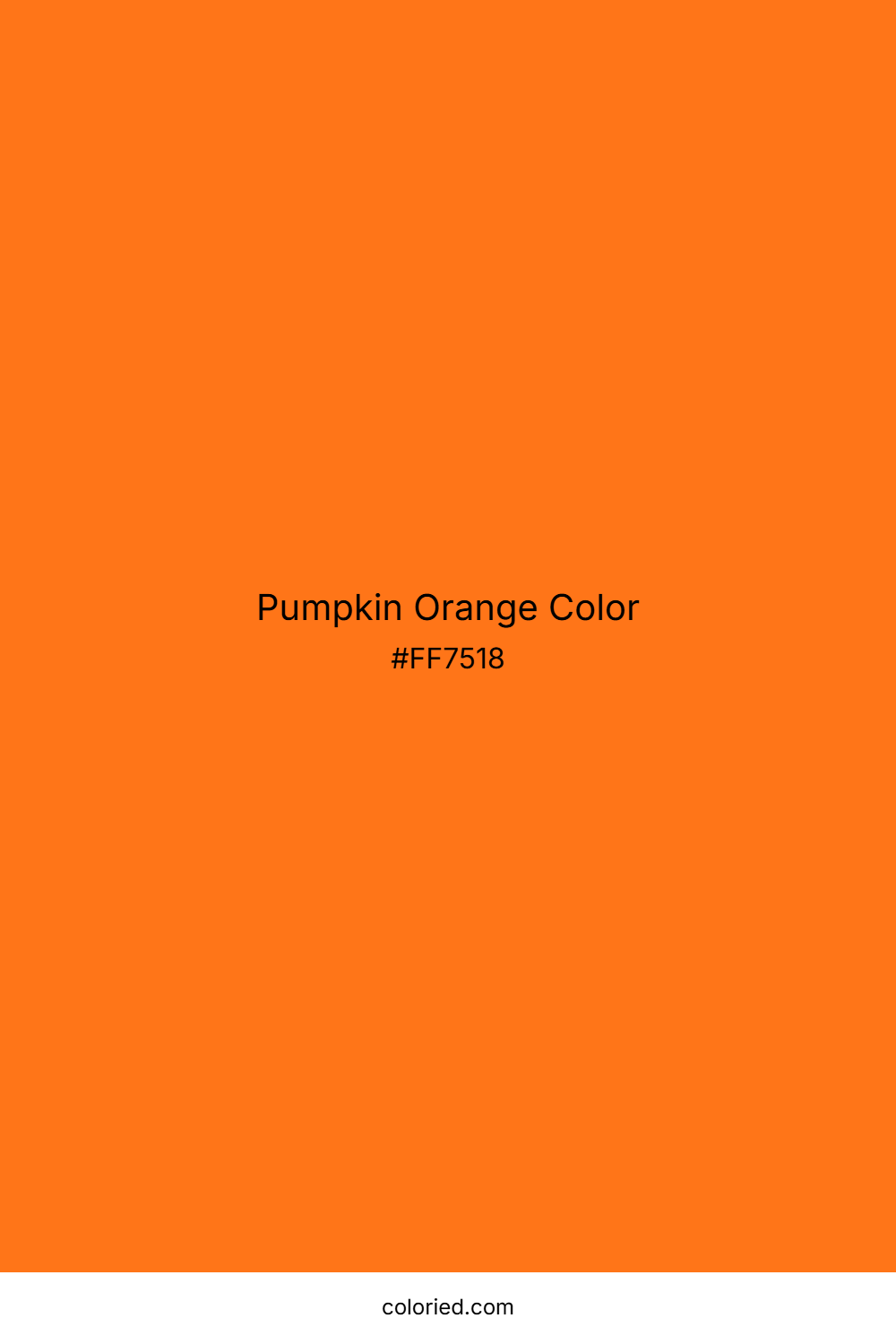 Pumpkin Orange Color