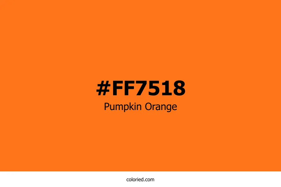 Pumpkin Orange Color