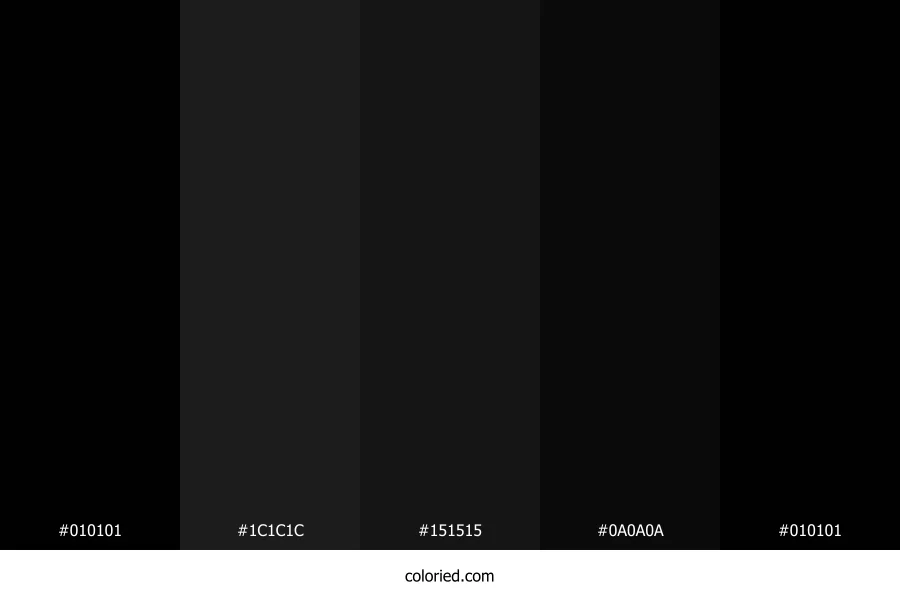 Pure Black and Onyx Color Palette