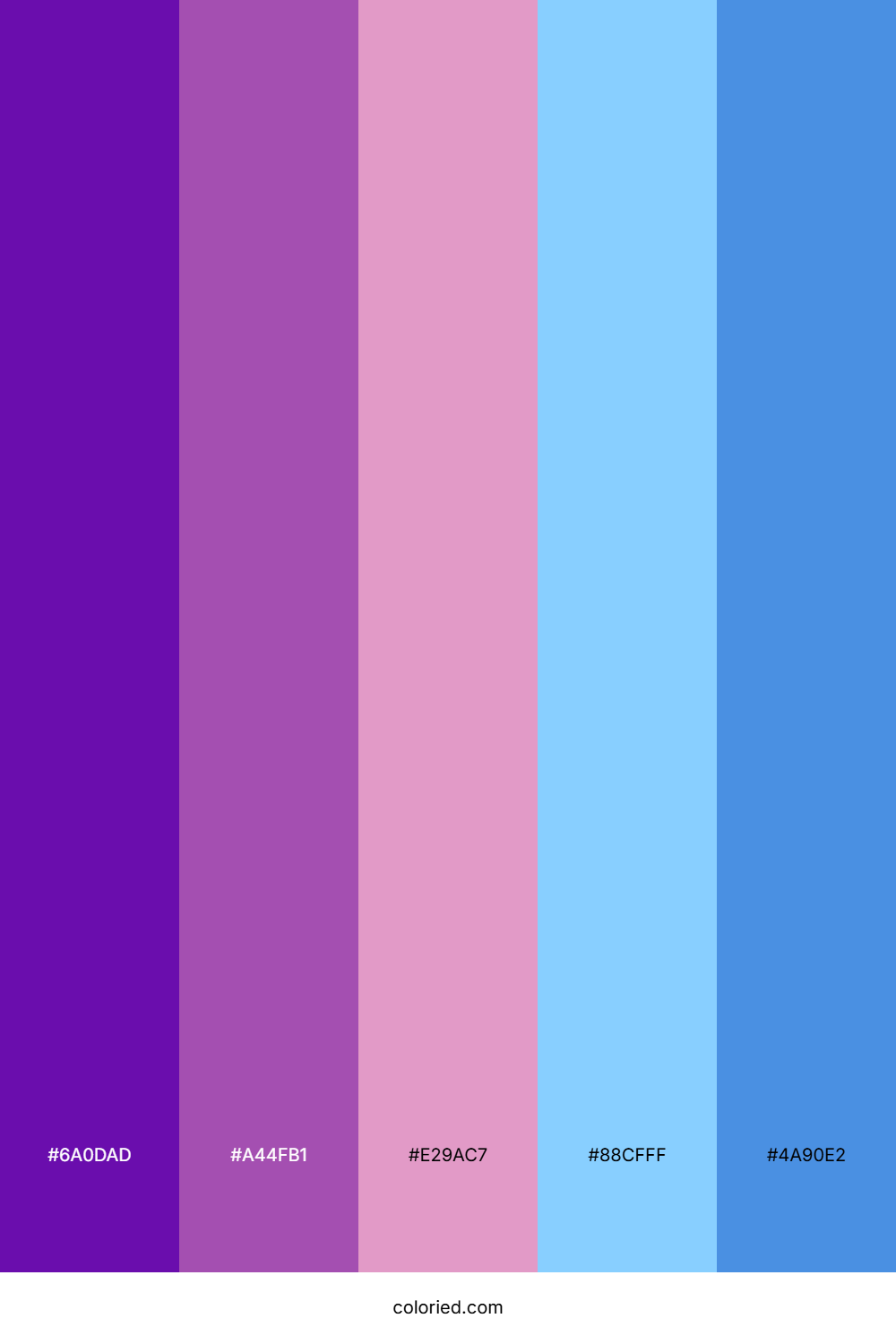 Purple, Pink and Blue Color Palette