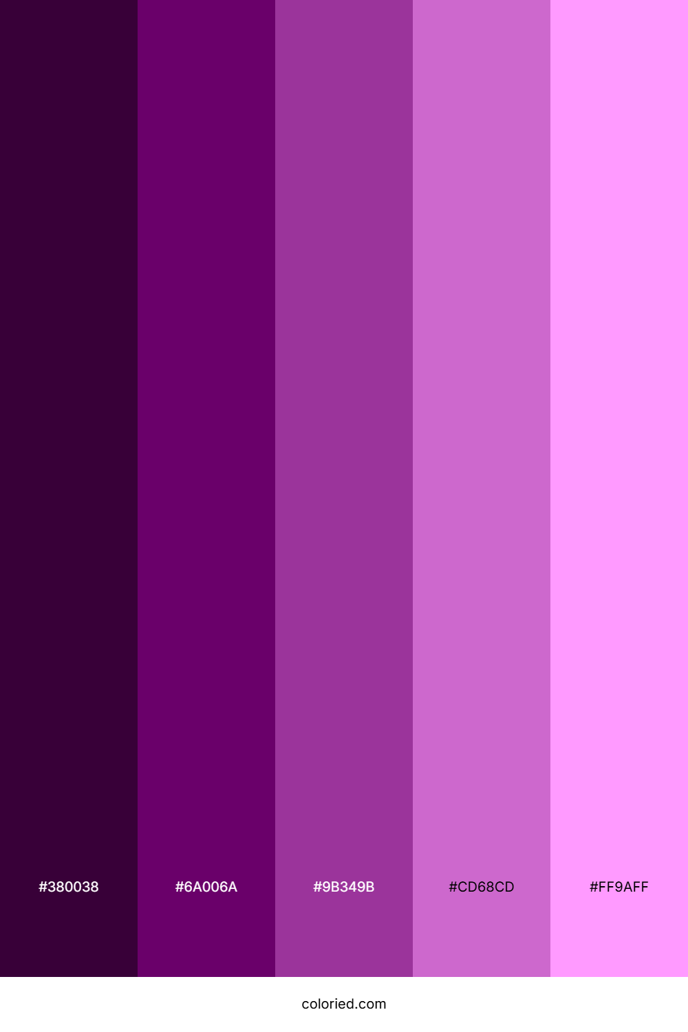 Purple, Pink Shades Color Palette