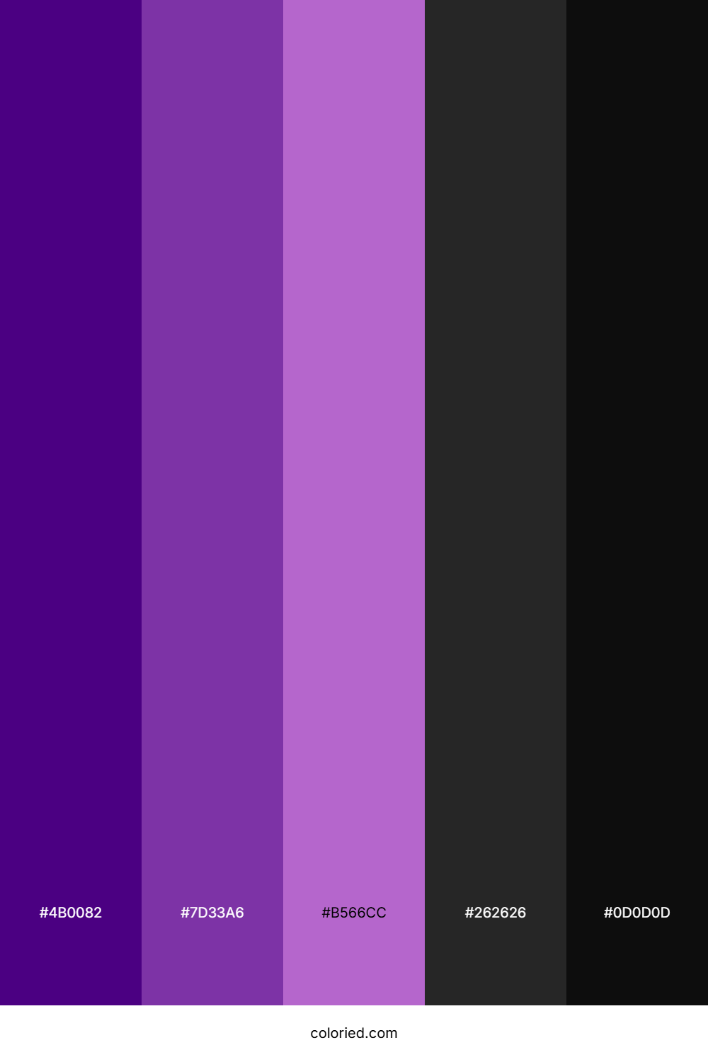 Purple and Black Color Palette